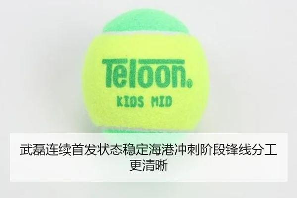 武磊连续首发状态稳定海港冲刺阶段锋线分工更清晰 | tianbo.comapp